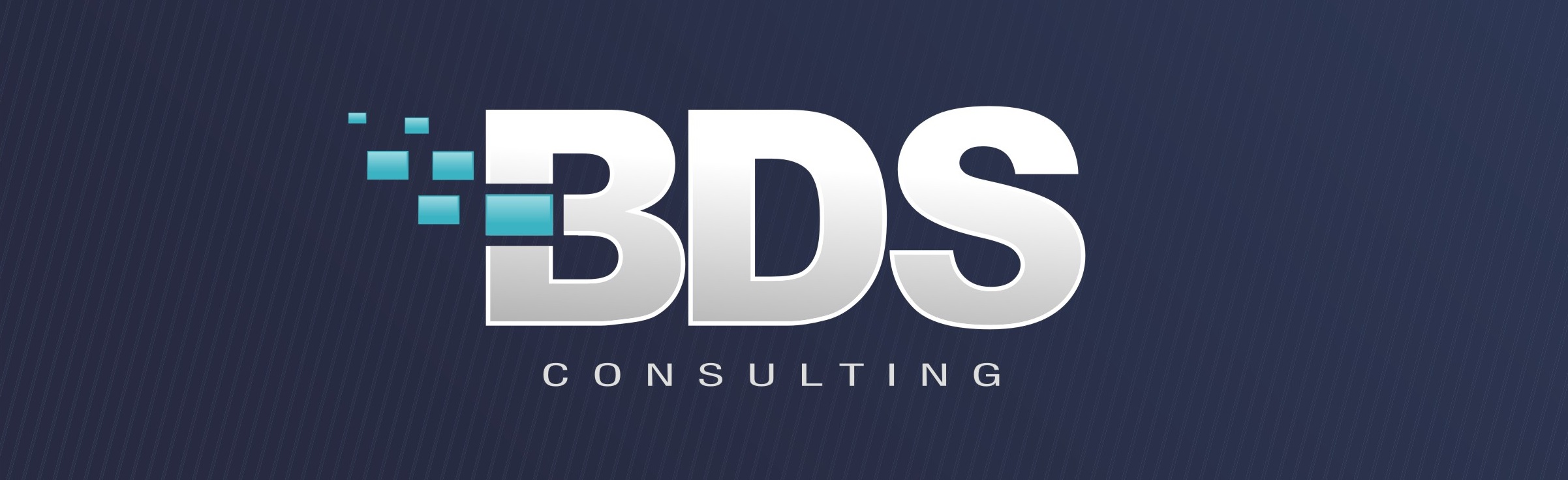 BDS Consulting